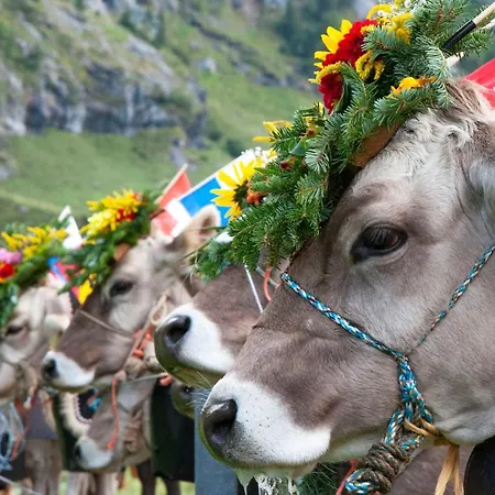 ホテル Hof Und Post