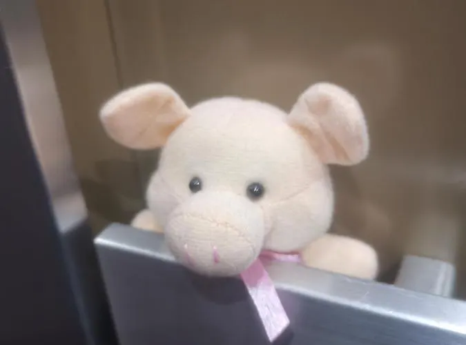 Hof Und Post Hotel Innertkirchen