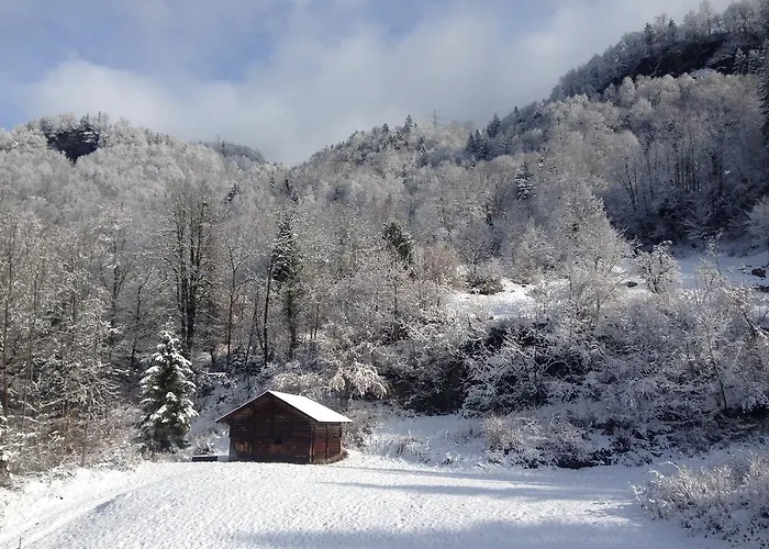 Hof Und Post * Innertkirchen