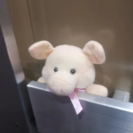 Hof Und Post Hotel Innertkirchen