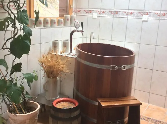 Hof Und Post Innertkirchen